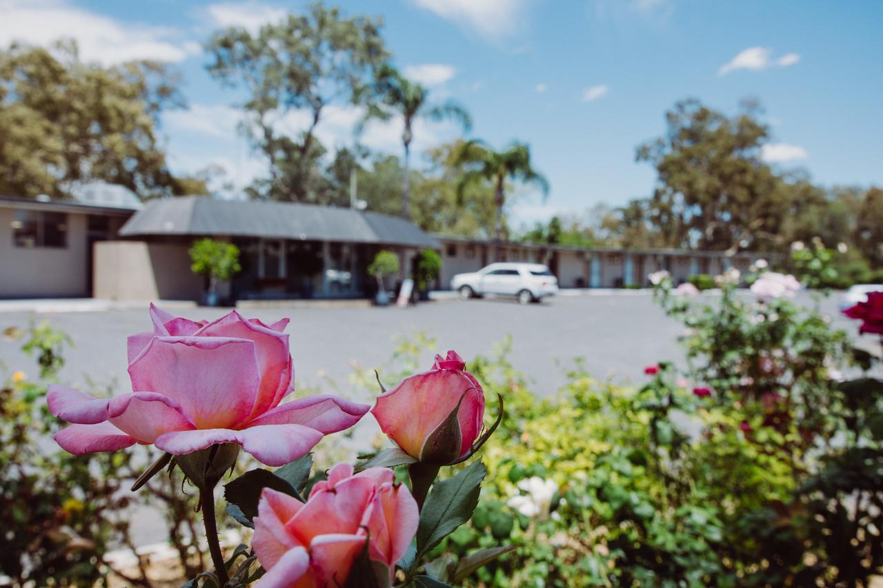Artesian Spa Motel Moree Buitenkant foto